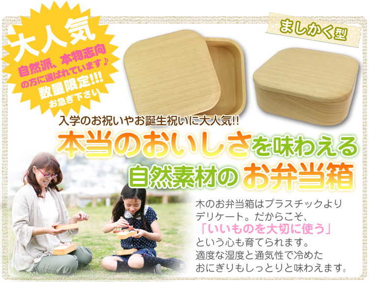 新商品!ましかく型木製お弁当箱