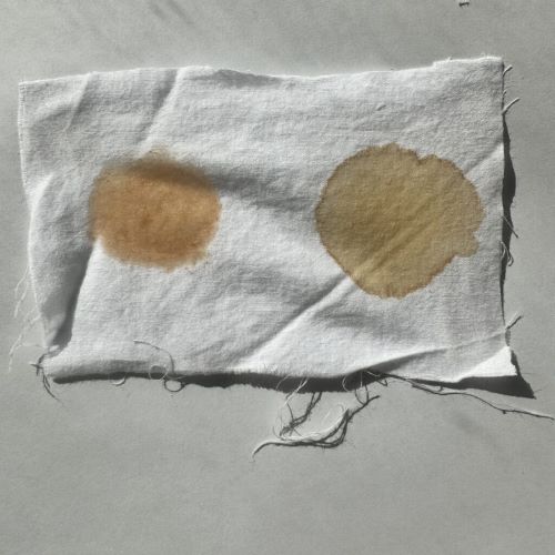 沖縄発!地球にやさしい洗濯洗剤 KIBI WASH