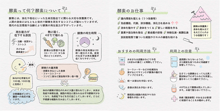 酵素って何?