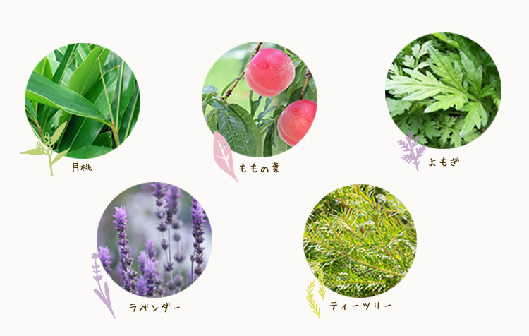 沖縄子育て良品の保湿商品は沢山の自然の恵みが使われています