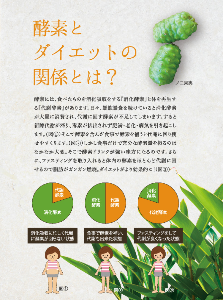 酵素とダイエットの関係