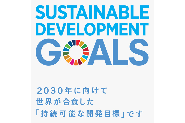 国連で制定された持続可能な開発目標