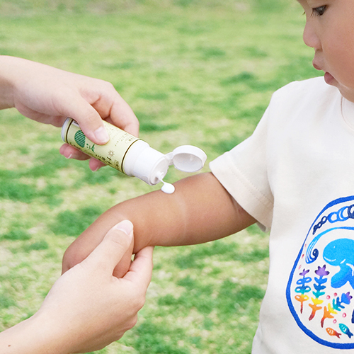 厳選したアロマのアウトドアミルク